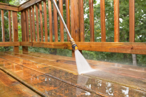 Best Animal Enclosure Cleaning  in Vernon, WI